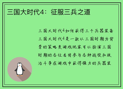 三国大时代4：征服三兵之道