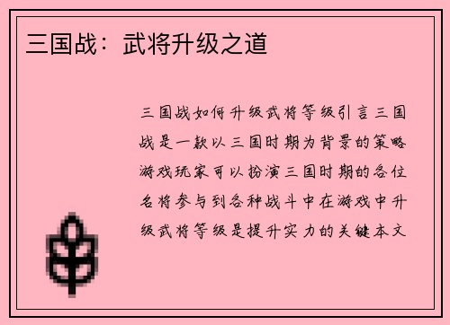 三国战：武将升级之道